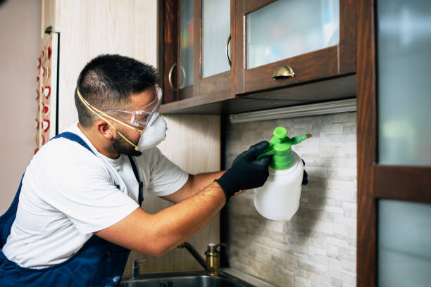 Best Pest Prevention Services  in Westwood, NJ
