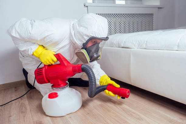 Pest Control for Restaurants in Westwood, NJ
