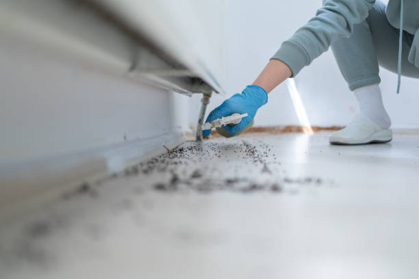 Best Emergency Pest Control  in Westwood, NJ